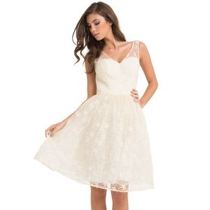 Chi chi London ivory lace fit and flare dress 14